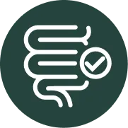 Gut health icon
